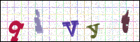 Verificación de la imagen