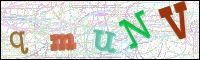 Verificación de la imagen