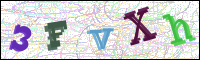Verificación de la imagen