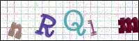 Verificación de la imagen