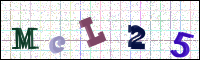 Verificación de la imagen