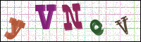 Verificación de la imagen