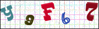Verificación de la imagen