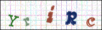 Verificación de la imagen