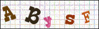 Verificación de la imagen