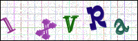 Verificación de la imagen
