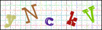 Verificación de la imagen