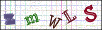Verificación de la imagen